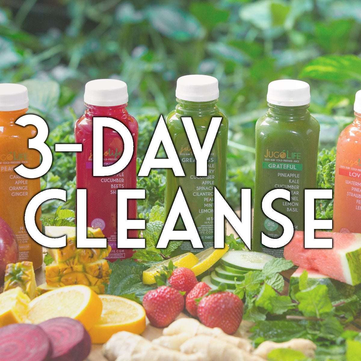 Cold pressed clearance juice at home